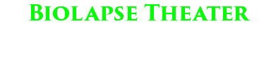 Biolapse Theater
