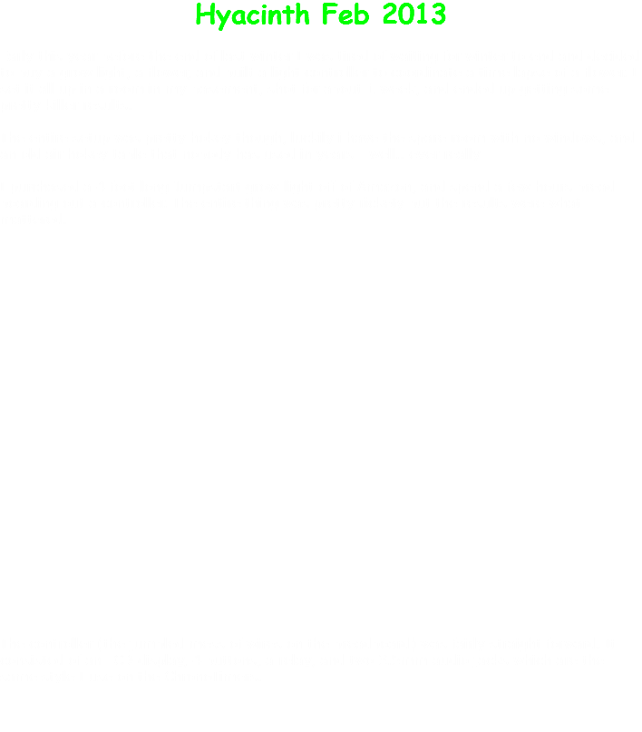 Hyacinth Feb 2013 Early this year before the end of last winter I was tired of waiting for winter to end and decided to buy a grow light, a flower, and built a light controller to coordinate a time lapse of a flower. I set it all up in a room in my basement, shot for about 1 week, and ended up getting some pretty killer results. The entire setup was pretty hokey though, luckily i have the spare room with no windows, and an old air hokey table that nobody has used in years… well.. ever really… I purchased a 4 foot long Jumpstart grow-light off of Amazon, and spend a few hours bread-boarding out a controller. The entire thing was pretty rickety but the results were what mattered. The controller (the jumbled mess of wires on the breadboard) was fairly straight forward. It consisted of an LCD display, 4 buttons, a relay, and two 3.5mm audio jacks which are the same style I use on the ChronoTimers. 